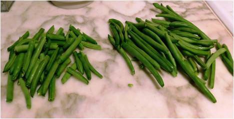 green beans for dogs