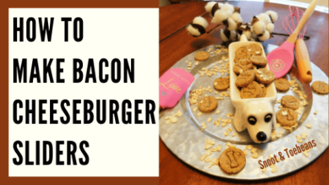 Bacon Cheese Dog Treats - a Yummy Recipe! - Snoot and Toebeans