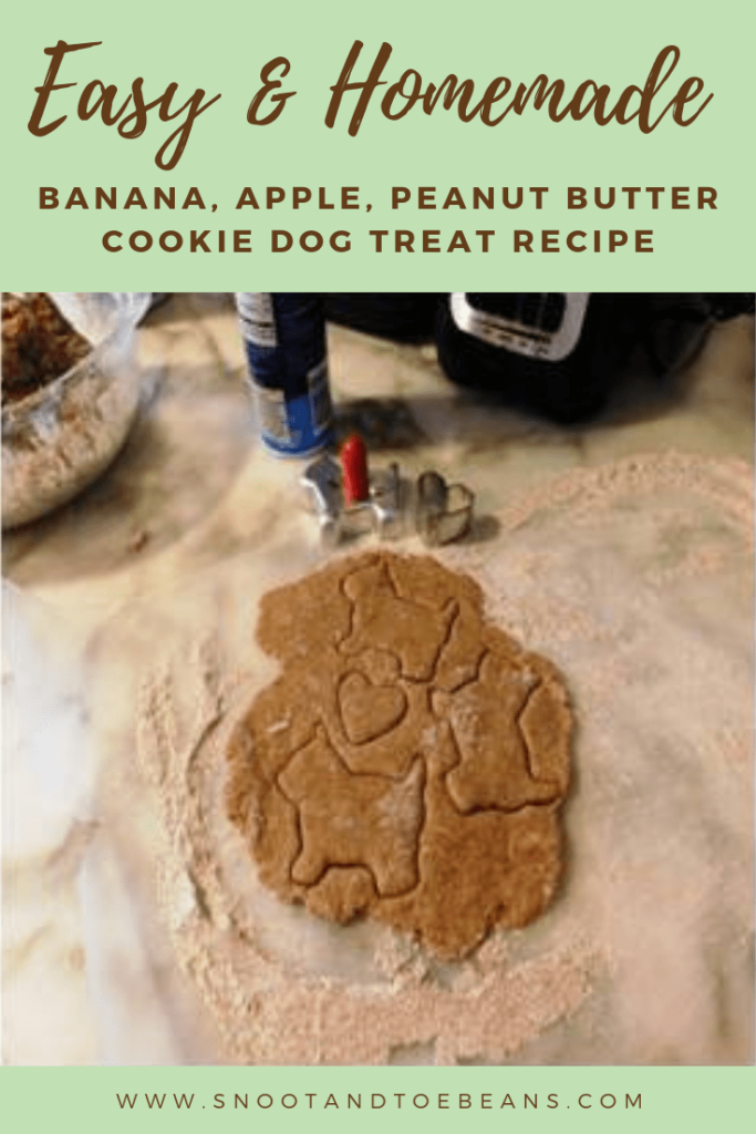 easy treat recipe for dogs