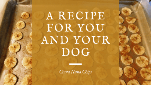 are banana chips safe for dogs
