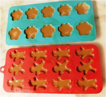 healthy homemade dog treats in silicone trays