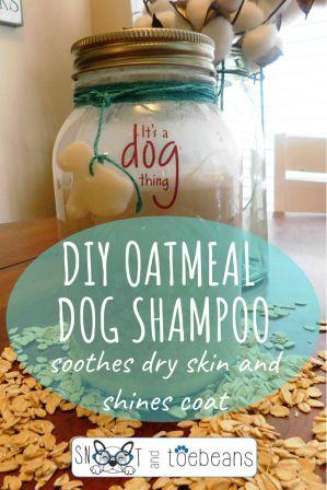 oatmeal dog shampoo pin
