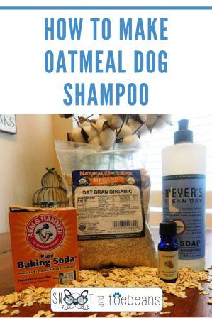 oatmeal dog shampoo pin