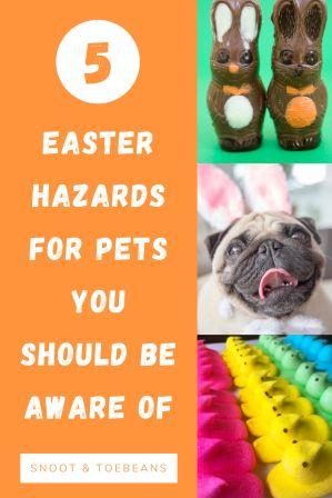 easter hazards for pets