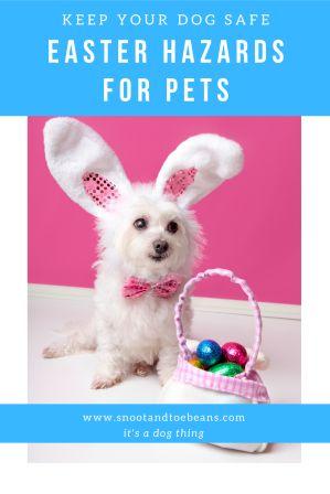 easter hazards for pets