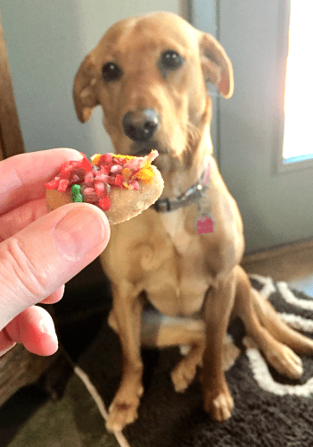 homemade dog treats for Easter