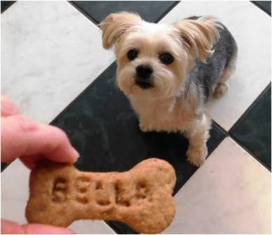 homemade peanut butter dog cookies