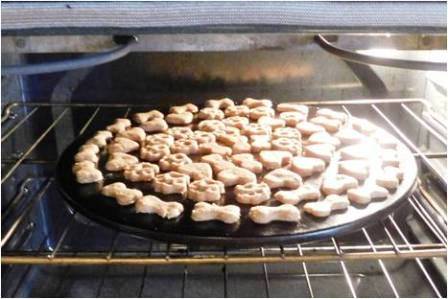 homemade peanut butter dog cookies