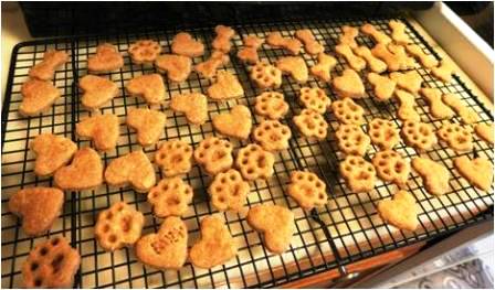 homemade peanut butter dog cookies