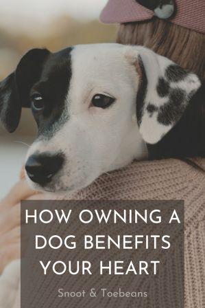 owning a dog