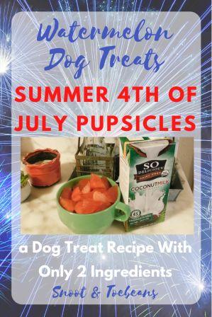 Pupsicles – Summer Dog Treat Recipes – NDLB