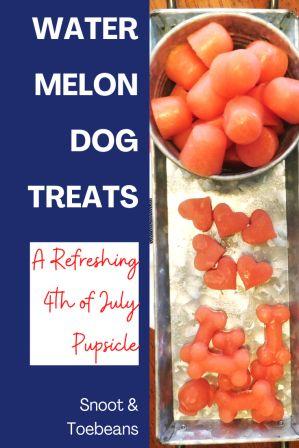 Easy Watermelon Carrot Pupsicles (Homemade Dog Popsicles)