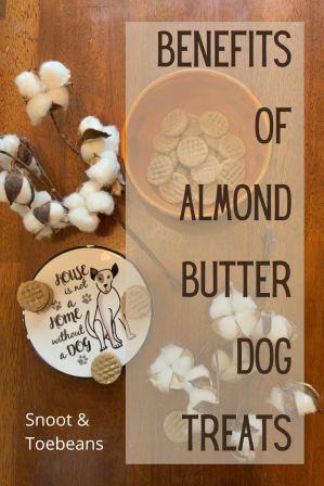 https://snootandtoebeans.com/wp-content/uploads/2020/07/almond-butter-dog-treats-pin-1.jpg