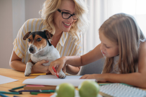 back to school for dogs