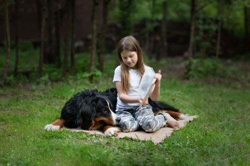 back to school for dogs