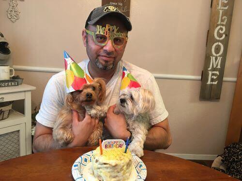 diy dog birthday cake