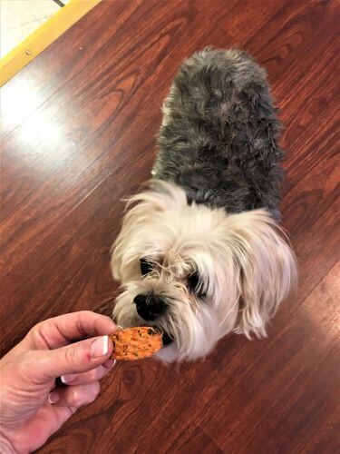 healthy baked carrot chips for dogs