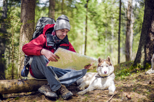 hiking with your dog