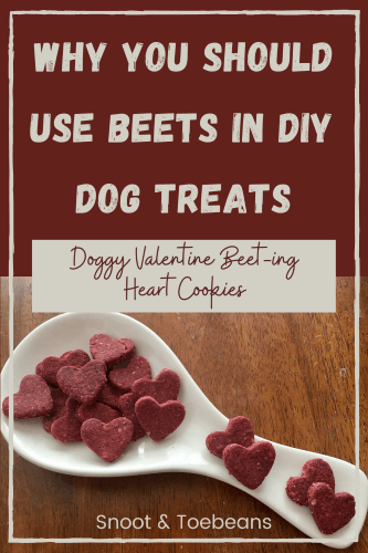 are red beet safe for dogs to eat