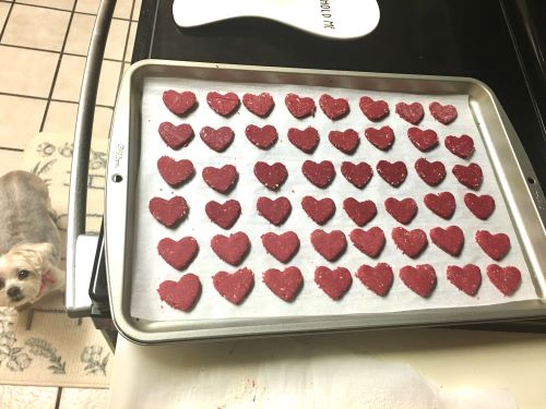 valentine cookies for dogs