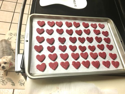 Doggy Valentine Beet ing Heart Cookies