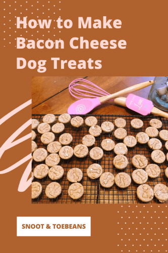 Bacon Cheese Dog Treats - a Yummy Recipe! - Snoot and Toebeans