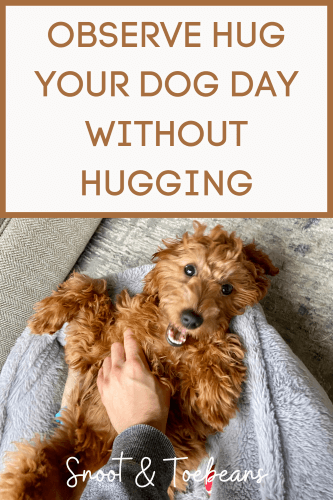 hug your dog