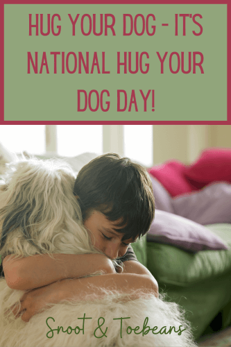 hug your dog