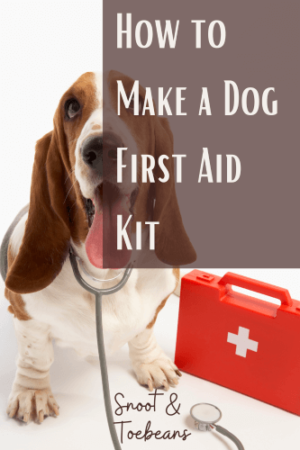 Dog First Aid Kit - a DIY With the Essentials - Snoot and Toebeans