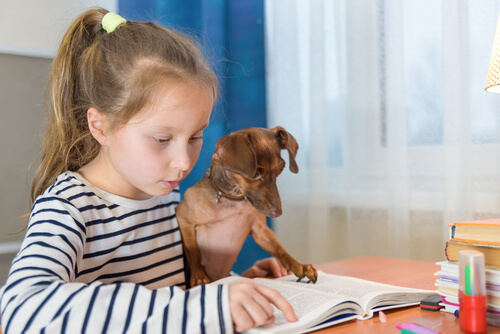 reading to dogs