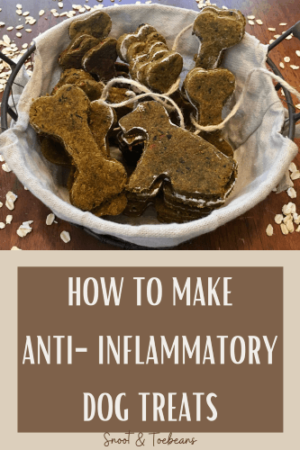 Anti-Inflammatory Treats for Dogs - Relief! - Snoot and Toebeans