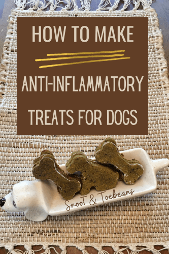 Anti-Inflammatory Treats for Dogs - Relief! | Snoot and Toebeans