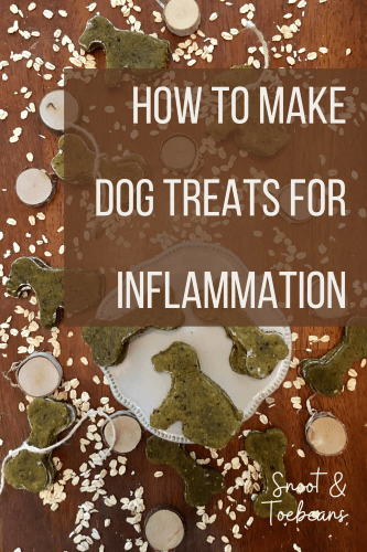 Anti-Inflammatory Treats for Dogs - Relief! | Snoot and Toebeans