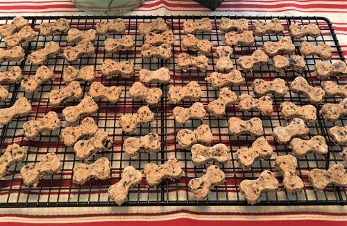 homemade dog treats with blueberries