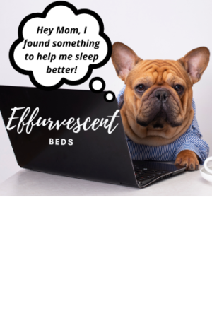 Effurvescent Products for Sleep